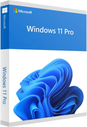 Windows 11 Pro